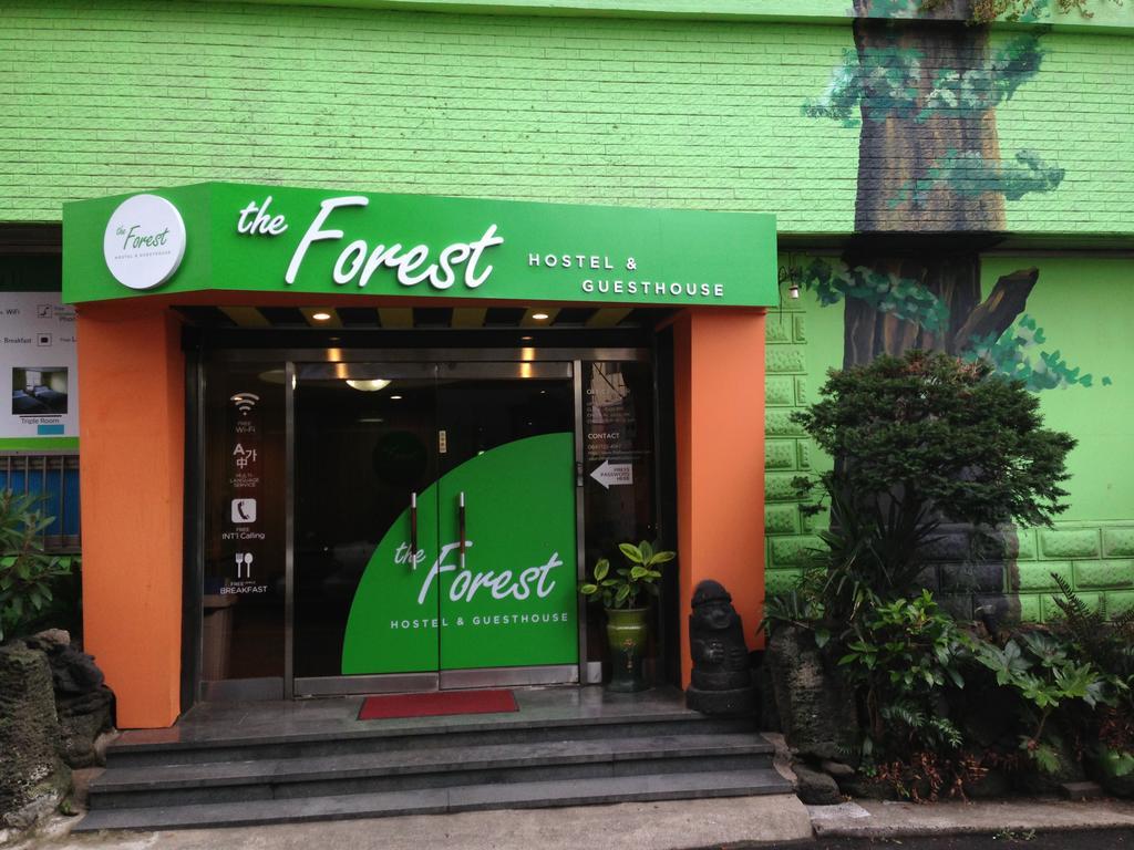 The Forest Hostel جيجو المظهر الخارجي الصورة